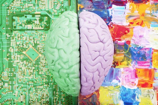 The White House - Key Points