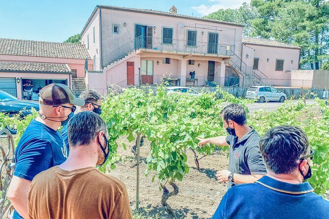 The White Lotus Experience  Sicily (Private Tour) - Final Thoughts