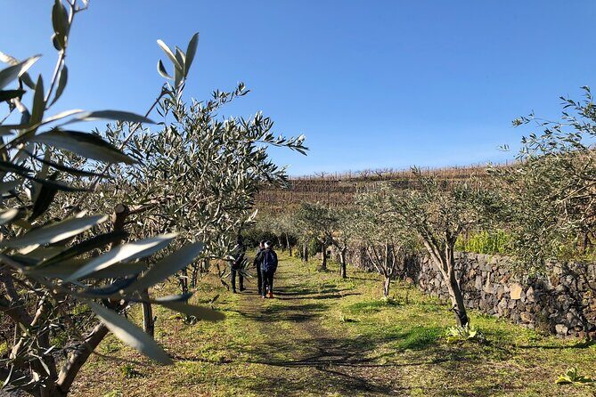 The White Lotus Experience  Sicily (Private Tour) - FAQs