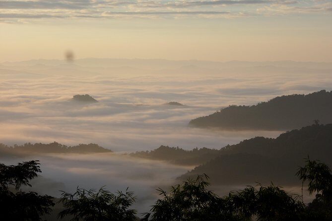 The Wild Explorer - 3 days forest trek with homestay and camping - An In-Depth Look at the 3-Day Forest Trek Experience