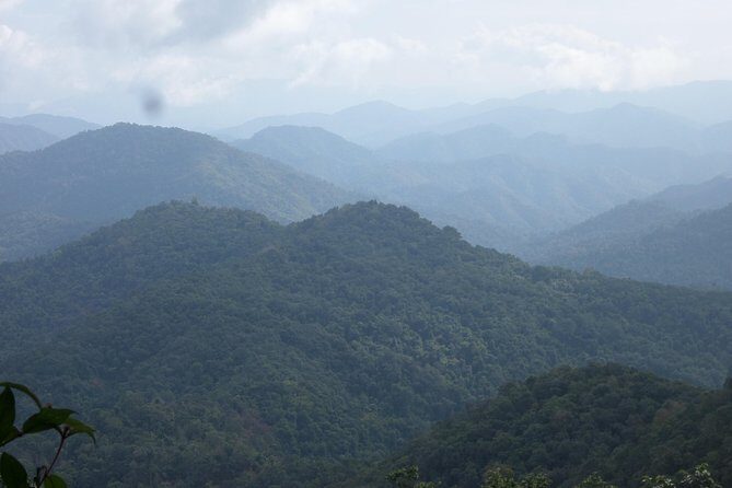 The Wild Explorer - 3 days forest trek with homestay and camping - Authentic Experiences and Unique Highlights