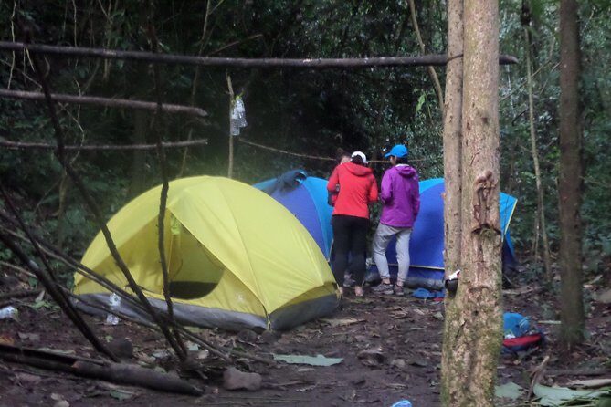 The Wild Explorer - 3 days forest trek with homestay and camping - Frequently Asked Questions