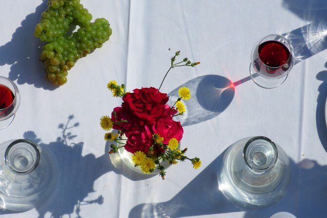 The wine route by bike - The Ride Through Romania’s Wine Country