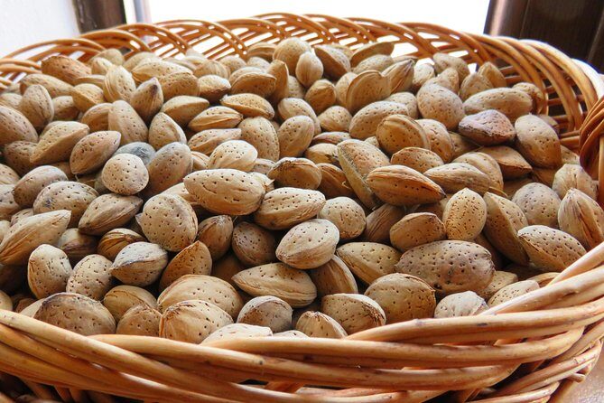 The wine route by bike - Authentic Insights from Past Travelers