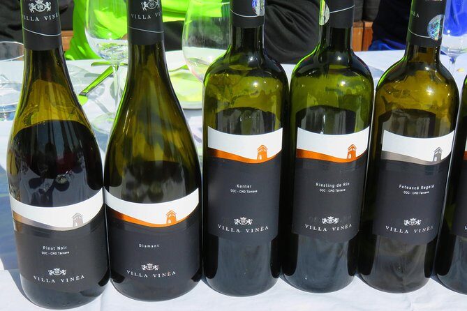 The wine route by bike - Final Thoughts: Who’s This Tour Perfect For?