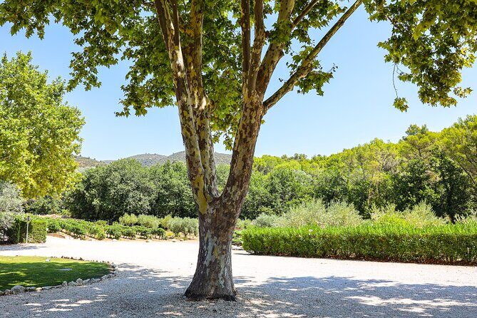 The wines of the Luberon, the Château de Lourmarin & Bastide du Laval olive oil - FAQs