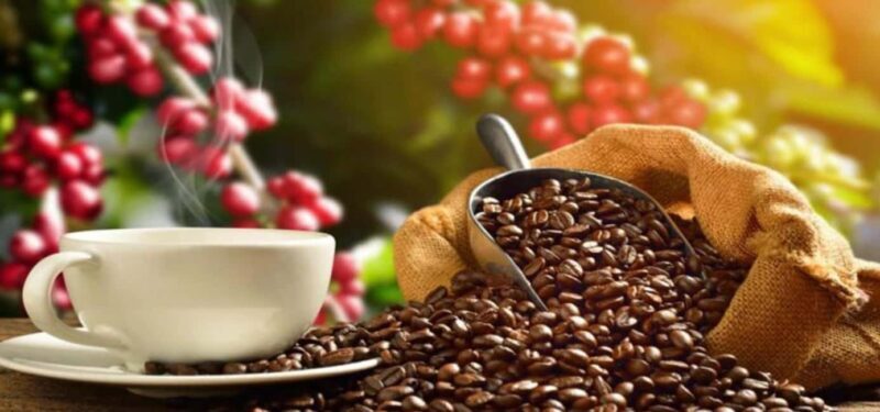 The World of Latte Art: Coffee from the Chiapas Creamy Heart - Key Points