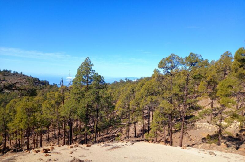 The Wow Factor Walk - Final Thoughts