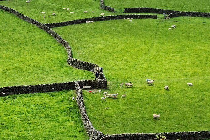 The Yorkshire Dales of All Creatures Great & Small - Exploring the Yorkshire Dales: A Complete Breakdown