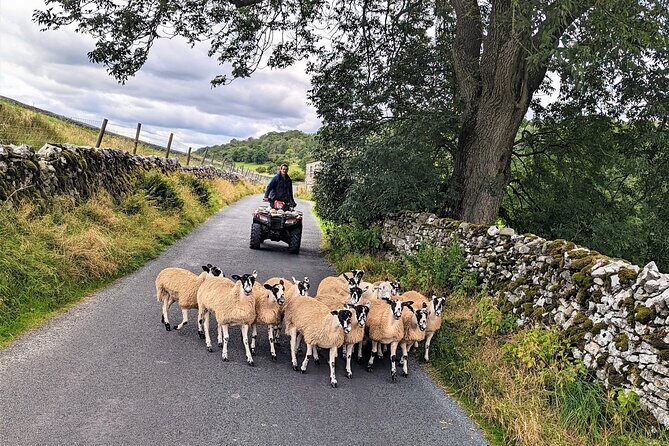 The Yorkshire Dales of All Creatures Great & Small - The Sum Up
