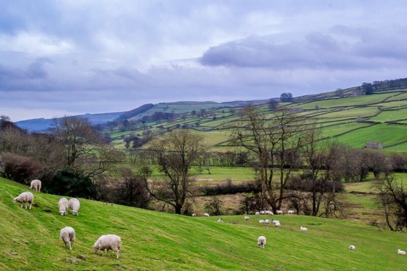 The Yorkshire Dales Tour from York - Analyzing the Value and Overall Experience
