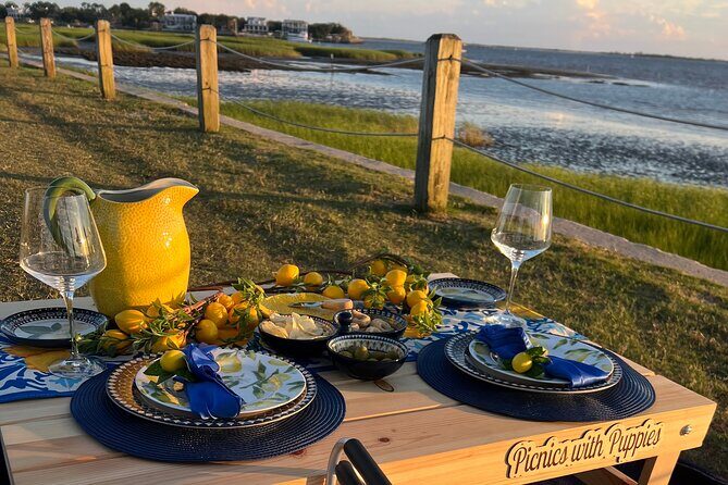 Themed Luxury Picnic - Key Points