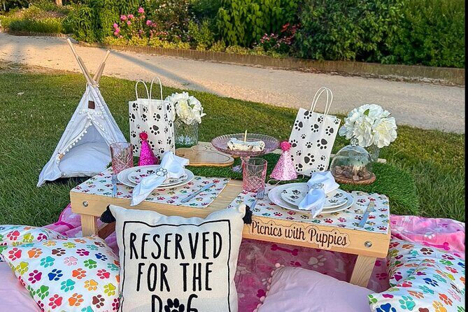 Themed Luxury Picnic - An In-Depth Look at the Luxury Picnic Experience in Charleston
