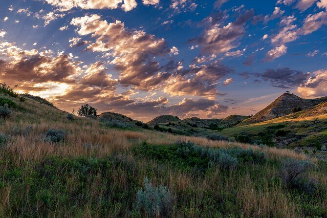 Theodore Roosevelt National Park Self-Guided Audio Tour - Frequently Asked Questions