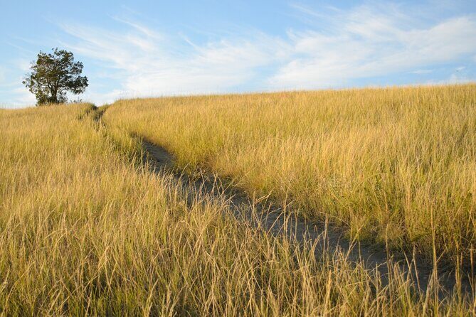 Theodore Roosevelt South Unit Self-Guided Driving Audio Tour - FAQs