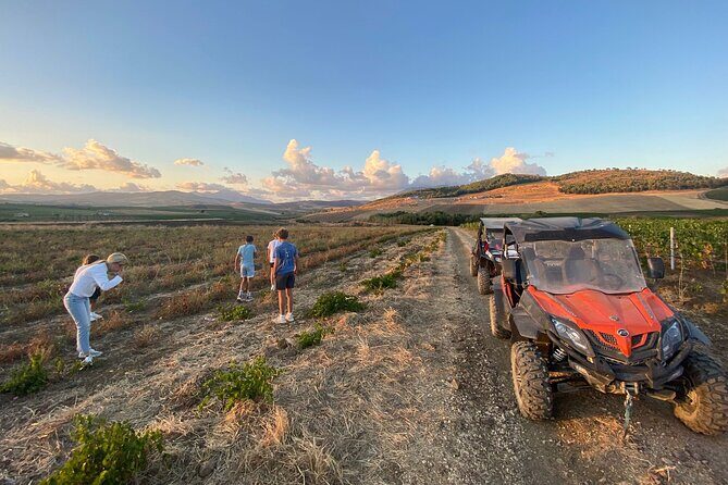 Thermal Baths natural hot spring and Greek Temple of Segesta - Practical Details & What to Expect