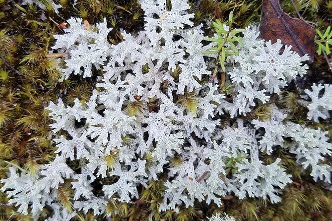 Thermal Path Tour - What’s Included and What’s Not