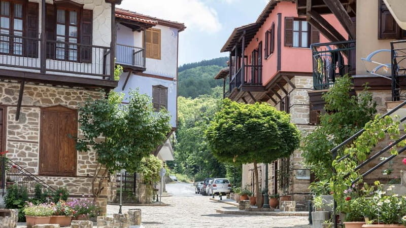 Thessaloniki: Halkidiki, Arnaia, Ierissos  Swim & Tasting - Experience Quality & Practical Details