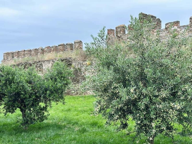 Thessaloniki Old Town Walking Tour-Culture-Nature-Plants - Exploring Thessalonikis Old Town Walking Tour – Culture, Nature, and Plants