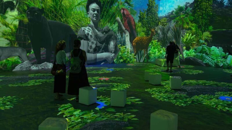 Thessaloniki: Ticket for Frida Kahlo Beyond the Icon Immersive Experience - Key Points
