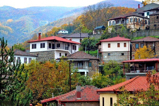 Thessaloniki to Naoussa, Wine Tasting Tour Private Day Trip - An In-Depth Look at the Naoussa Wine Tasting Tour