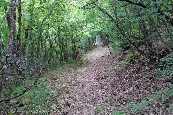 Thessaloniki to Naoussa, Wine Tasting Tour Private Day Trip - Why This Tour Offers Real Value