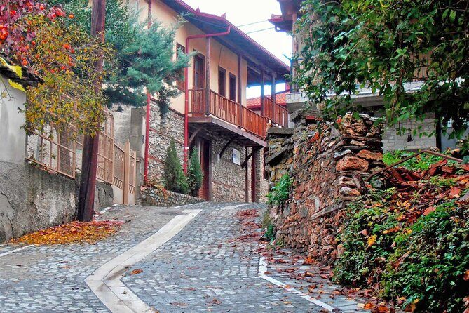 Thessaloniki to Naoussa, Wine Tasting Tour Private Day Trip - FAQ