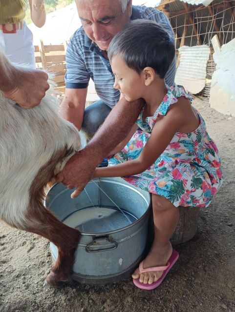 Thessaloniki: Visit a Farm and a traditional Village - Key Points