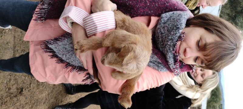 Thessaloniki: Visit a Farm and a traditional Village - An In-Depth Look at the Tour Experience