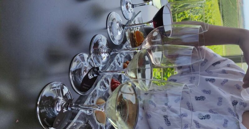 Thessaloniki: Winery Visit with Wine Tasting Experience - Who Would Love This Tour?