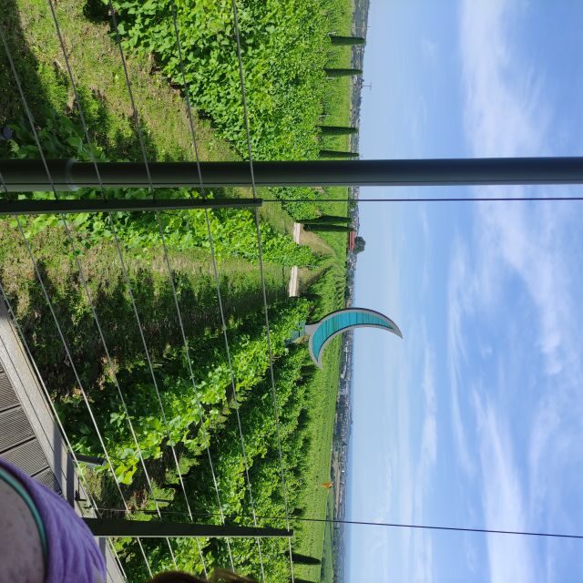 Thessaloniki: Winery Visit with Wine Tasting Experience - The Sum Up