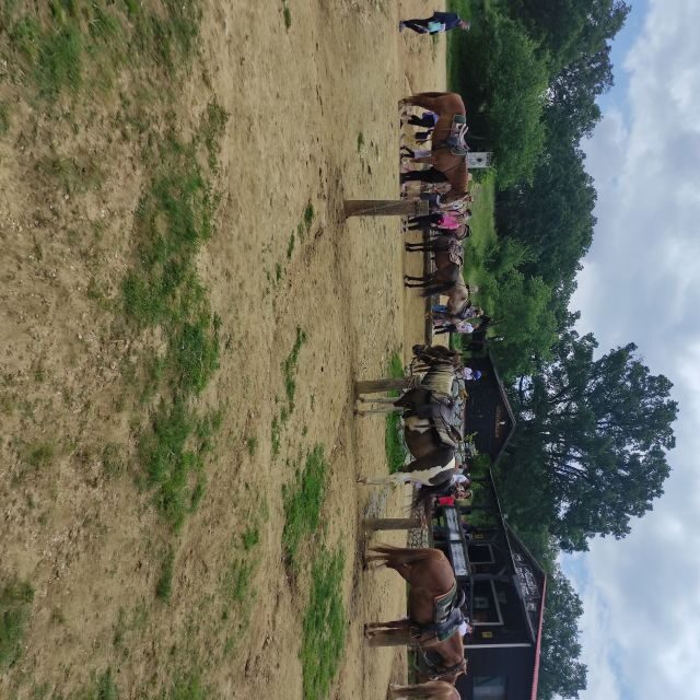 Thessaloniki:Horse Riding in a farm - Thessaloniki: Horse Riding in a Farm — An Authentic Countryside Escape