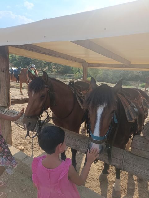 Thessaloniki:Horse Riding in a farm - Why This Experience Stands Out
