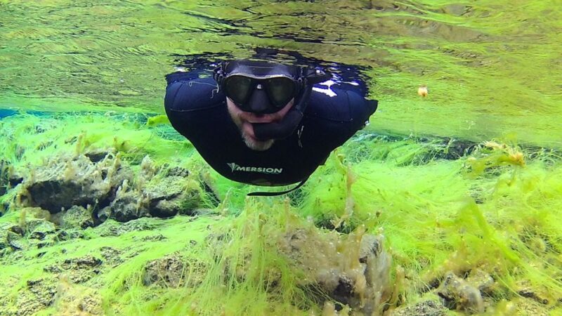 Thingvellir: Silfra Freedive Adevnture with a Guide - The Itinerary and What to Expect