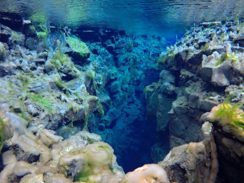 Thingvellir: Silfra Freedive Adevnture with a Guide - Final Thoughts