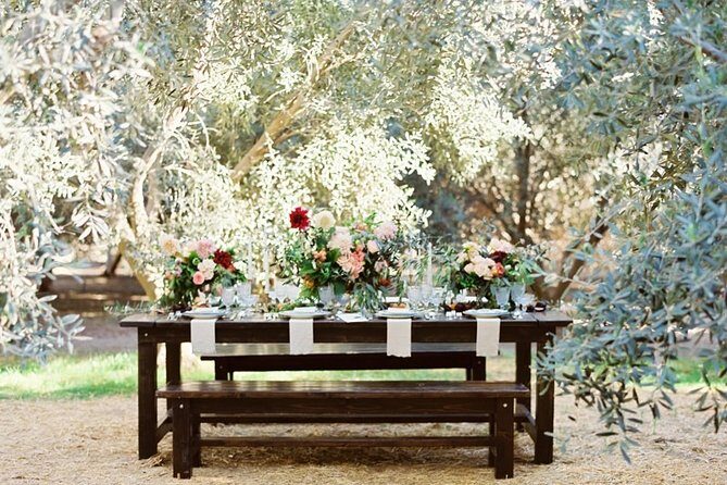 Think of a romantic meal in the Olive Trees shade, accompanied by Tuscan wines! - The Food and Wine: A Highlight of Value and Quality