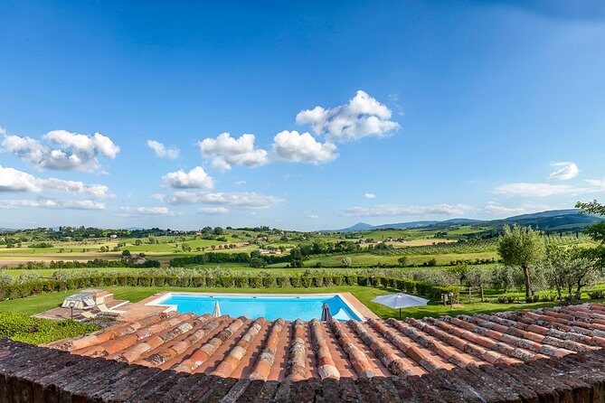 Think of a romantic meal in the Olive Trees shade, accompanied by Tuscan wines! - The Human Touch and Service
