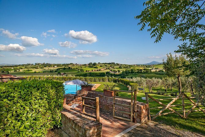 Think of a romantic meal in the Olive Trees shade, accompanied by Tuscan wines! - Who Would Love This Experience?
