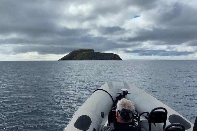 Third Island: Ilhéu das Cabras Boat Tour + Snorkeling - Why This Tour Is Perfect for You