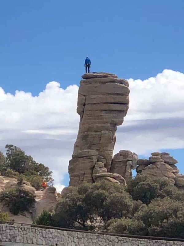 This guid tour lets the customers experience 4 bio zones. - Key Points