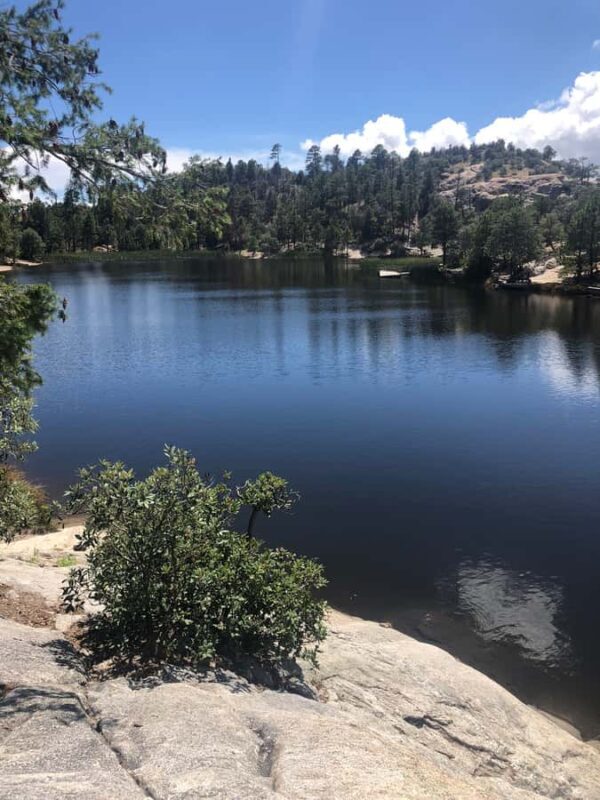 This guid tour lets the customers experience 4 bio zones. - FAQs