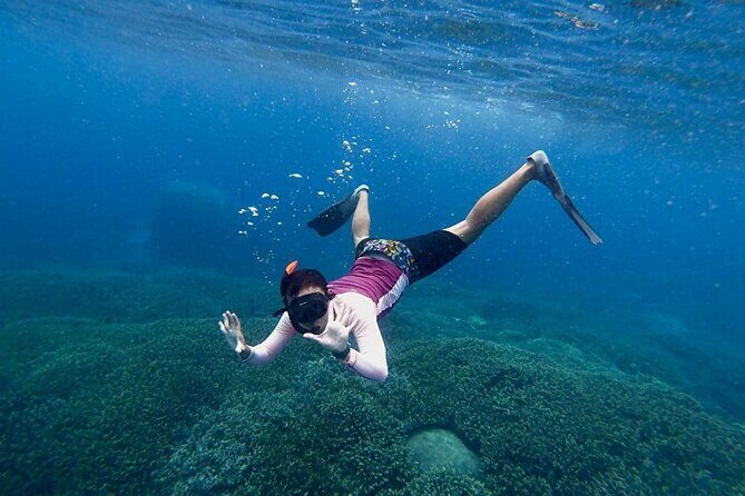 Three Islands Snorkeling (3 Spots) Manta Rays - From Lembongan - Who Should Book This Tour?