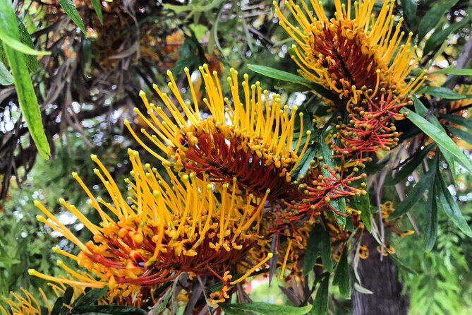 Three Parks Tour | Private Ride by Bike, E-Bike, E-Step or Segway - An in-depth look at the Three Parks Tour in Valencia