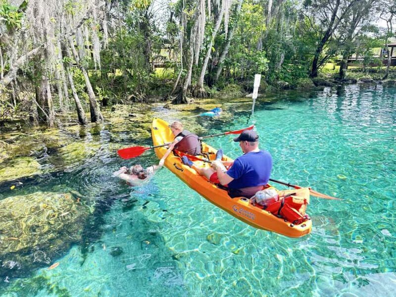 Three Sisters Clear Kayak and Snorkeling Manatee Tour - What is the tour all about?