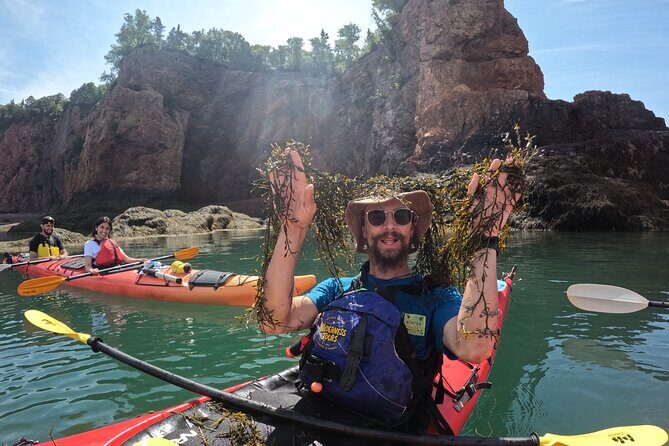 Three Sisters Sea Kayaking Day Tour - The Value for Money