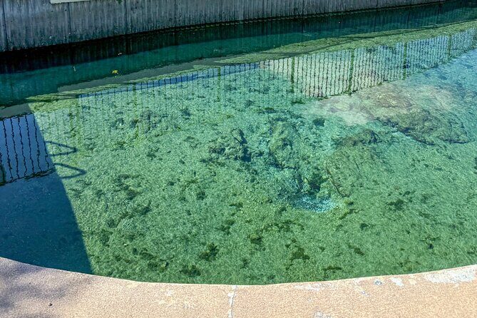 Three Sisters Springs Historical Walking Tour - An In-Depth Look at the Tour Experience