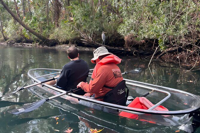 Three Sisters Sunset and Glow Clear Kayak & Wildlife Tour - An Authentic, Well-Rounded Experience in Crystal River