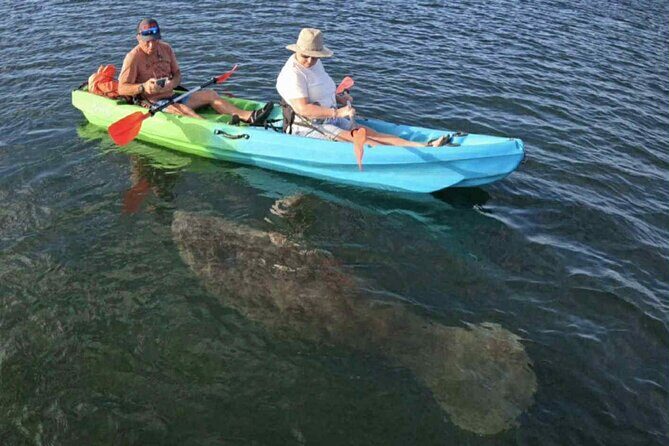 Three Sisters Tandem Kayak and Snorkeling Manatee Tour - Key Points