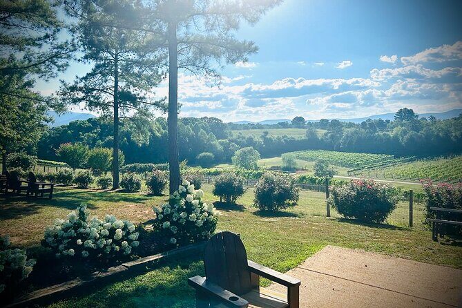 Three Vineyards Half Day Private Wine Tour From Asheville - Key Points
