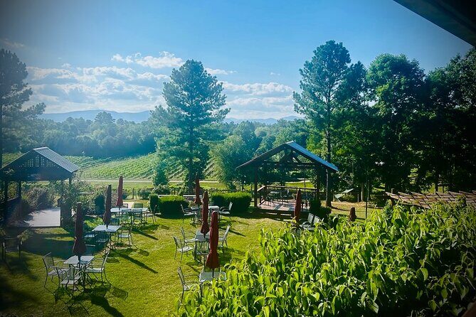 Three Vineyards Half Day Private Wine Tour From Asheville - Practical Tips for Booking and Enjoying